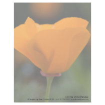 California Poppy Letterhead