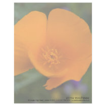 California Poppy Custom Letterhead