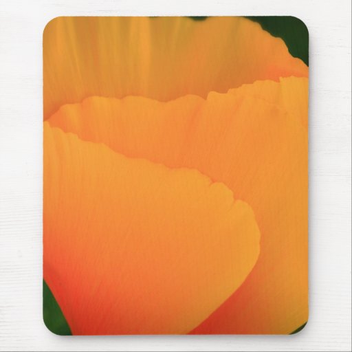 California Poppy Mouse Pad