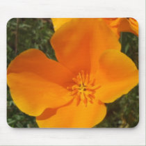 California Poppy Mousepad mousepads