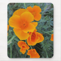 California Poppy Mousepad