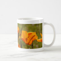 California Poppy Mug