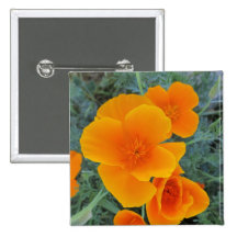 California Poppy Pin