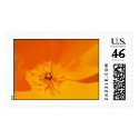 California Poppy postage by larryurquhart California Poppy postage