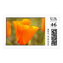 California Poppy postage by deegolden California Poppy postage