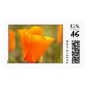 California Poppy postage by deegolden California Poppy postage