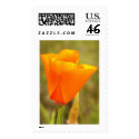 California Poppy postage by deegolden California Poppy postage