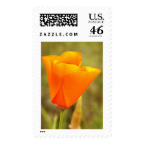 California Poppy postage by deegolden California Poppy postage