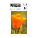California Poppy Stamps
