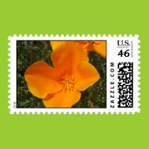 California Poppy Postage stamps