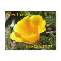 California Poppy Save The Date Postcard