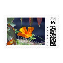 California Poppy Stamp
