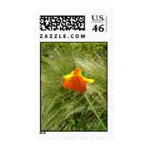 California Poppy Stamps