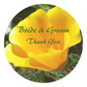 California Poppy Thank You Sticker by dlgray California Poppy Thank You Sticker