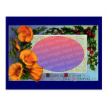California Poppy Vintage Christmas Frame Postcards