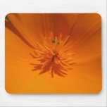 California Poppy with Bee Mousepad