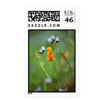 California Popy postage by epoe74 California Popy postage