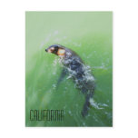 California Postcard