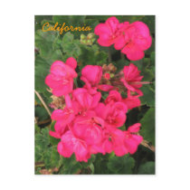 California postcards