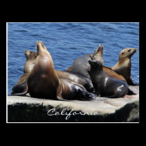 California postcards