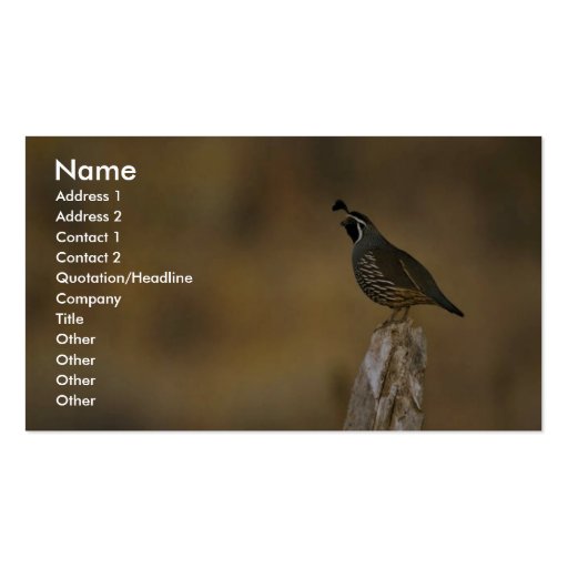 California quail business card templates (front side)