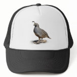 quail hat