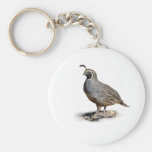 CALIFORNIA QUAIL KEY CHAINS