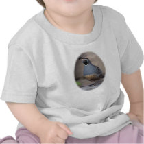 California Quail t-shirts