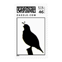 California Quail silhouette stamp by naturalphotos California Quail silhouette stamp