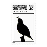 California Quail silhouette stamp