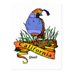 California Quali Post Card