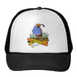California Quali Trucker Hat