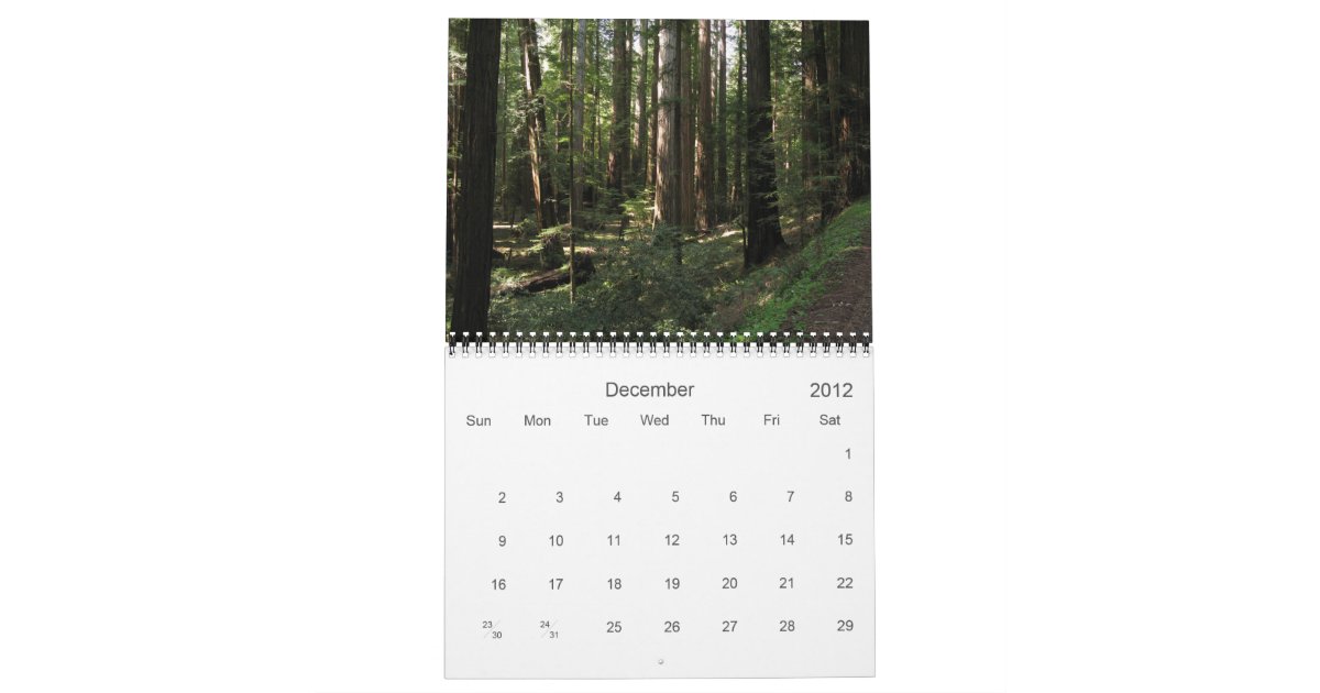 California Redwoods 2012 calendar Zazzle