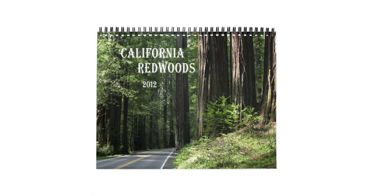 California Redwoods 2012 calendar Zazzle