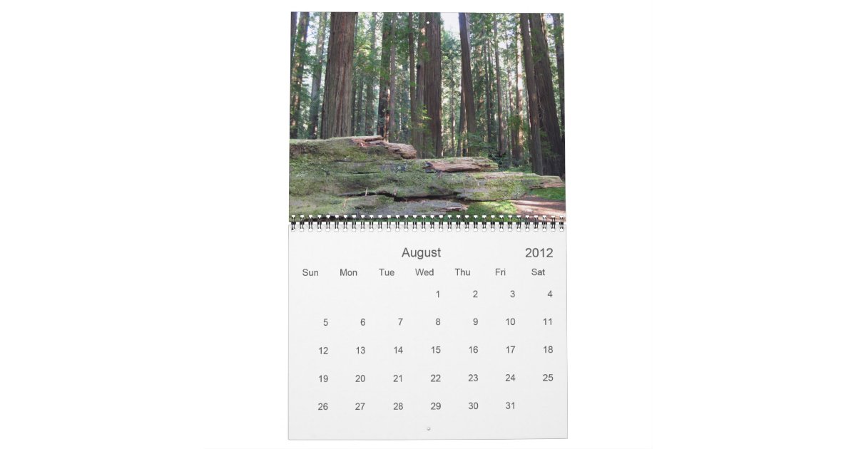 California Redwoods 2012 calendar Zazzle