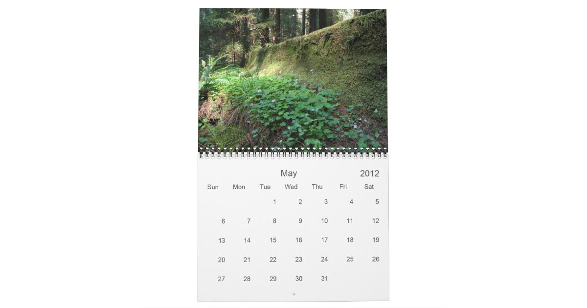 California Redwoods 2012 calendar Zazzle