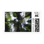 California Redwoods postage