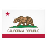 California Republic (State Flag) Art Photo