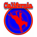 California Rodeo shirt F/B by Duncan_Reed California Rodeo shirt F/B