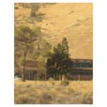 California Saloon Custom Letterhead