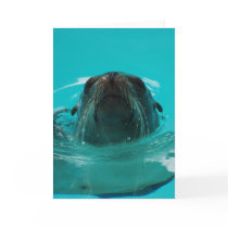 "California Sea Lion" Greeting Card