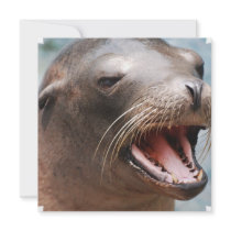 California Sea Lion Invitations