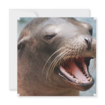 California Sea Lion Invitations