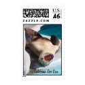 California Sea Lion postage by lovlydaisies California Sea Lion postage
