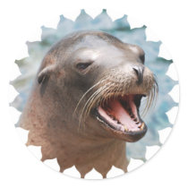 California Sea Lion Stickers