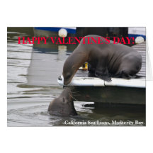 California Sea Lions Valentine's Day Card
