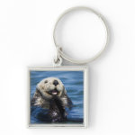 California Sea Otter Enhydra lutris) grooms Key Chain