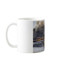 California Sea Otter mugs