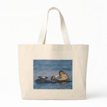 California Sea Otter Snacking on Clam bags by wildlifehotspots California Sea Otter Snacking on Clam bags