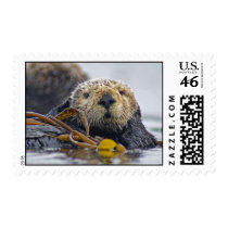 California Sea Otter Stamp